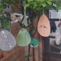 Who said eggs don't grow on trees!?