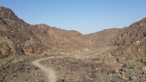 Training grounds 1